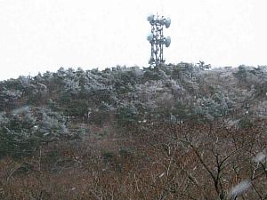 六甲山 山頂付近の樹氷・六甲山の雪景色