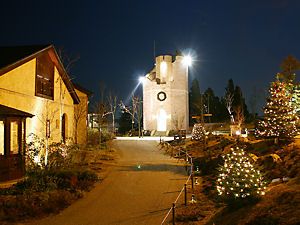 六甲見晴らしの塔(展望台ライトアップ)とクリスマスツリー