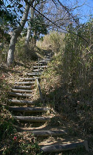 菊水山山頂へ通じる途方もなく長い階段