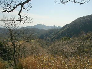 菊水山登山道からの風景・高取山
