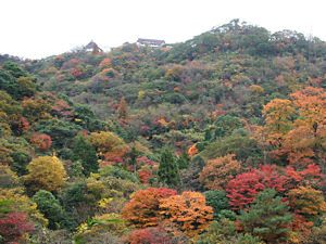 世継山の布引ハーブ園と紅葉