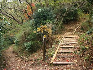摩耶山・稲妻坂と森林植物園・トゥエンティクロス分岐