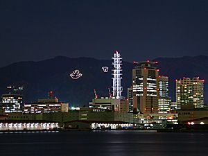 神戸港から見た市章山と錨山（碇山）の山麓電飾