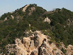 須磨アルプス・馬の背の岩場と東山