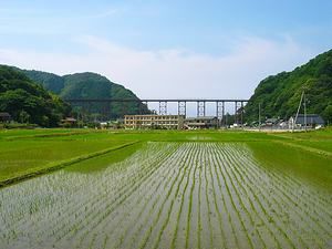 初夏の田植えのシーズンには田んぼに鉄橋が写る（逆さ富士ならぬ逆さ余部鉄橋）
