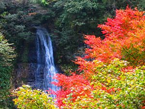 阿瀬渓谷・源太夫滝と紅葉