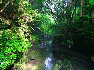 深緑の森に囲まれる阿瀬渓谷
