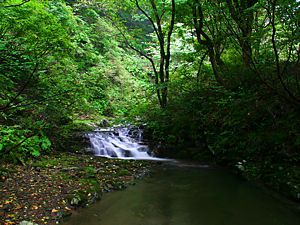 阿瀬渓谷の滝