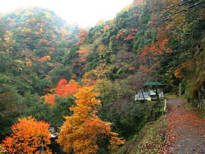 阿瀬渓谷登山口の源太夫滝の滝見台と休息所
