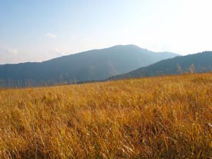 鉢伏高原（ハチ高原）のススキの草原と氷ノ山