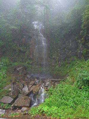 亀滝