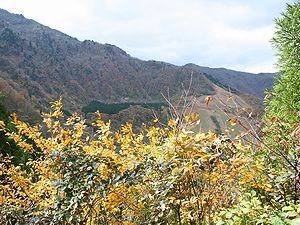 東尾根登山道の黄葉と氷ノ山国際スキー場