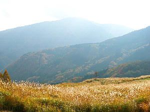 鉢伏高原・高丸山から見た氷ノ山