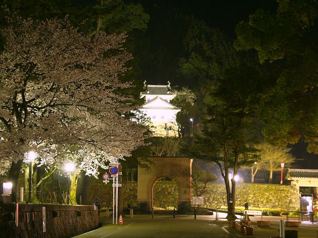 出石城の夜桜 桜のライトアップ 壁紙写真集 無料写真素材