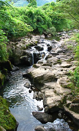稲葉川と十戸の滝