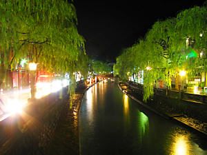 大谿川と柳のライトアップ夜景