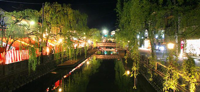 大谿川と柳並木のライトアップ夜景
