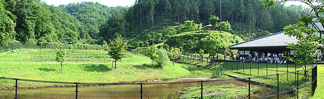 兵庫県立コウノトリの郷公園のコウノトリ公開ゲージ