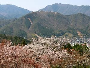 立雲峡の桜と竹田城の風景