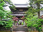 隆国寺・ぼたん寺/但馬の寺とぼたんの花風景写真