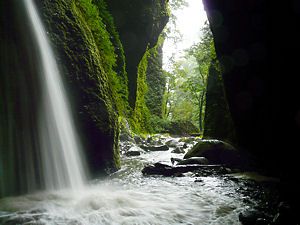 シワガラの滝の滝壺