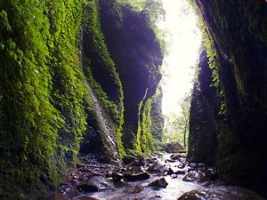 シワガラの滝の洞窟の内部から見た小又川渓谷