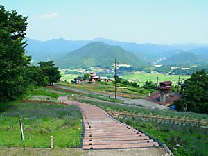愛宕山山頂から見る湯村の風景と日本海