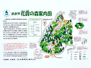 樽見の大桜とおおや花霞の森案内図・ガイドマップ