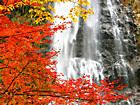 渓谷と滝・紅葉の壁紙写真/天滝の紅葉無料壁紙