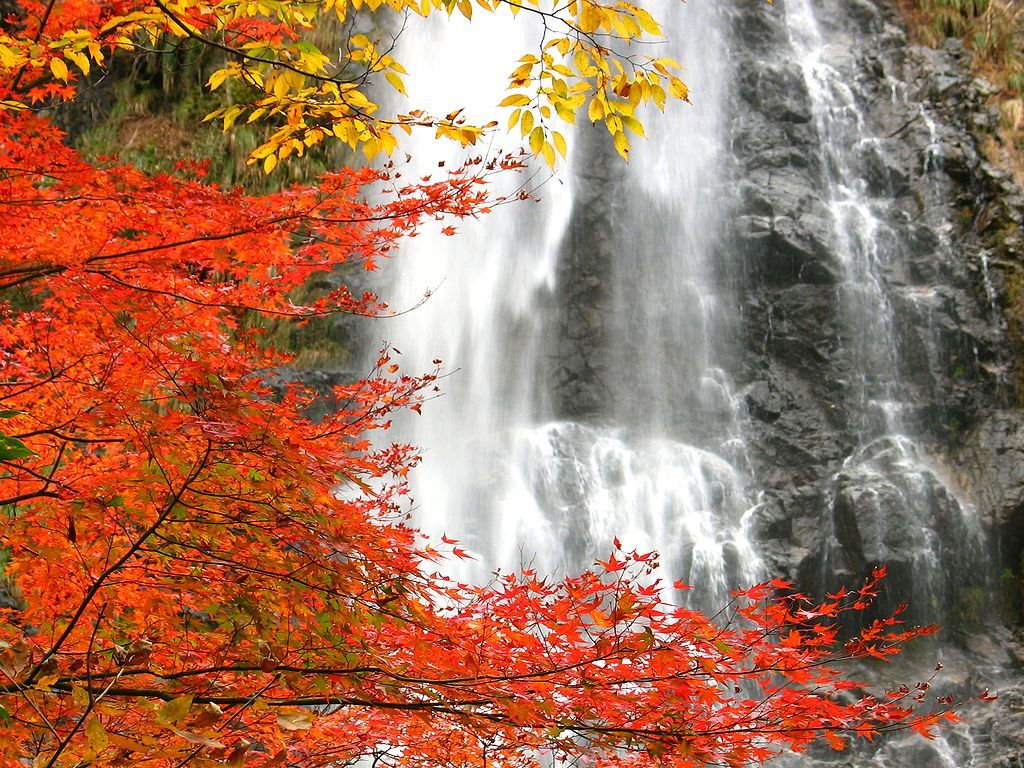 渓谷と滝 紅葉の壁紙写真 天滝もみじ祭 壁紙写真集 無料写真素材
