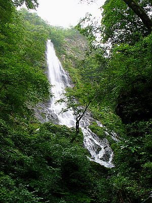 天滝/落差98ｍ兵庫県一の滝