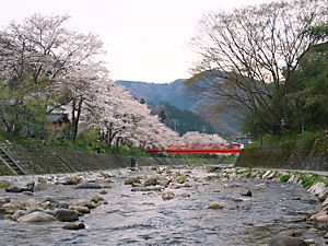 湯村温泉・春来川と桜並木