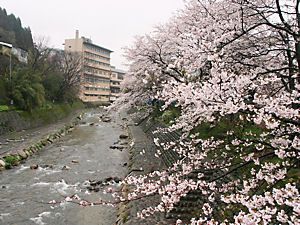 湯村温泉・春来川と桜並木