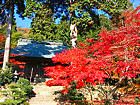 大国寺・丹波の正倉院紅葉の風景/兵庫県丹波市