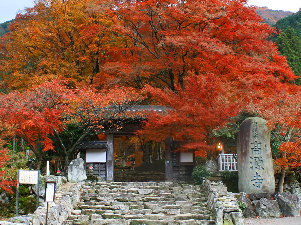 瑞巌山 高源寺の紅葉 天目カエデとモミジの紅葉 壁紙写真集 無料写真素材