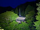 高源寺の新緑ライトアップ夜景