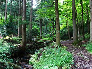 四十八滝森林公園・筱見四十八滝への登山道
