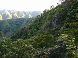 四十八滝森林公園・筱見四十八滝の登山道からの風景