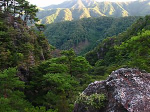 四十八滝森林公園・筱見四十八滝の登山道からの風景