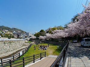 宇治川の桜並木